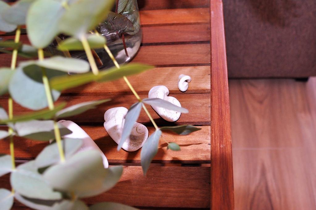 סנטה קרוז דה טנריף Apartamento En La Rambla Con Piscina מראה חיצוני תמונה
